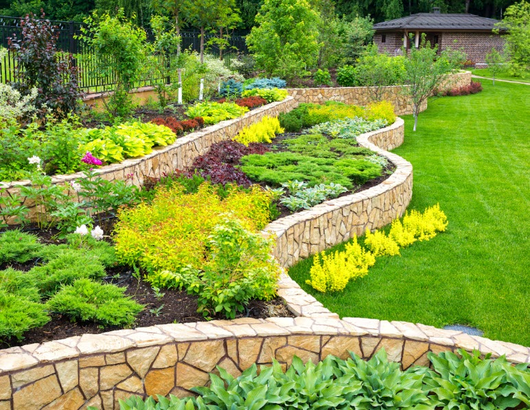 Landscape Design