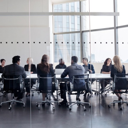 Executive Risk