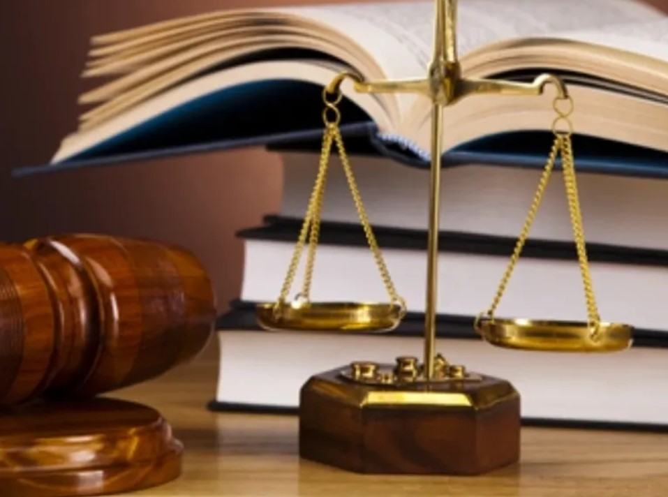 Expert Witness