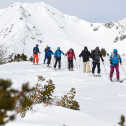 Backcountry Skiing