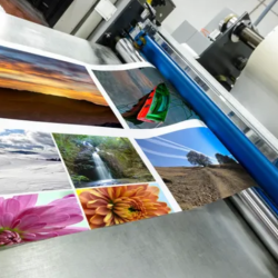 Printing Services