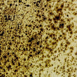 Mold Damage