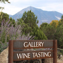 Wine Tours