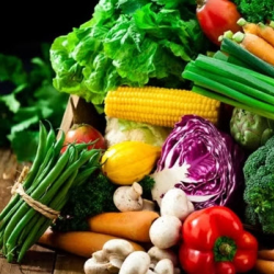 Nutrition