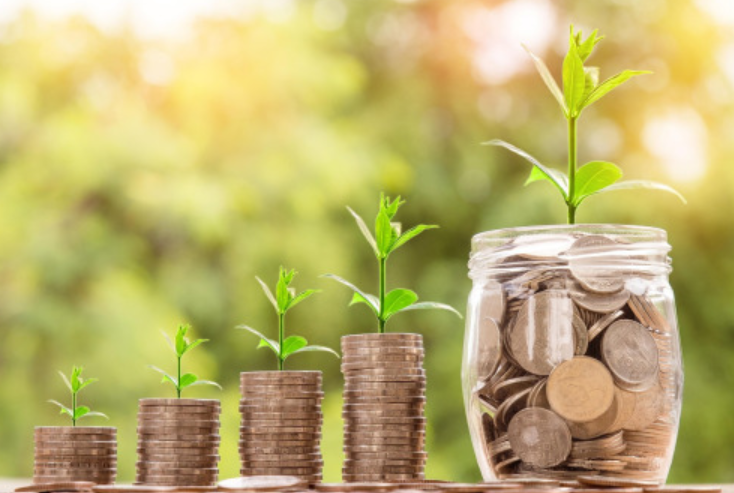 Evaluate & Establish Your Accounting