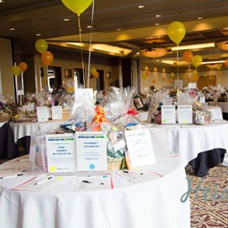 Fundraisers