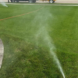 Salt/Ice Melter