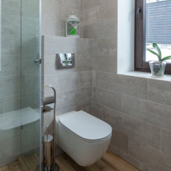 Eco-Friendly Toilets