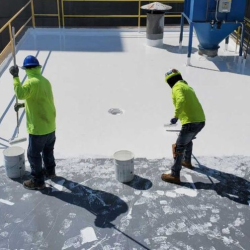 Roof Coatings