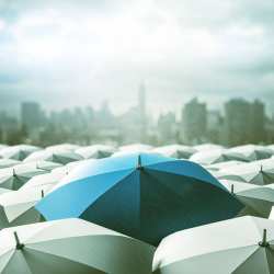 Personal Umbrella Insurance