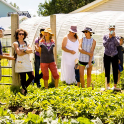 Gunni Grows! Gardener network