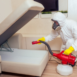 Residential Pest Control