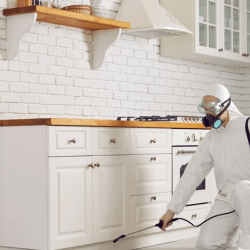 Commercial Pest Control