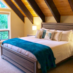 Signature Room Bedding