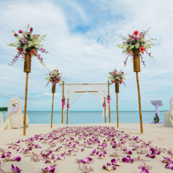 Weddings & Honeymoons