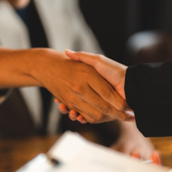 Business Negotiation & Litigation