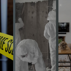 Trauma & Biohazard Cleanup