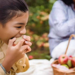 Insights On Sustainability & Food