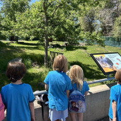 Summer Programs