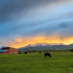 Agricultural Real Estate