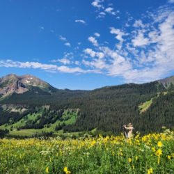 Photography Tours