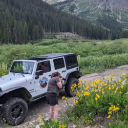 Wildflower Tours