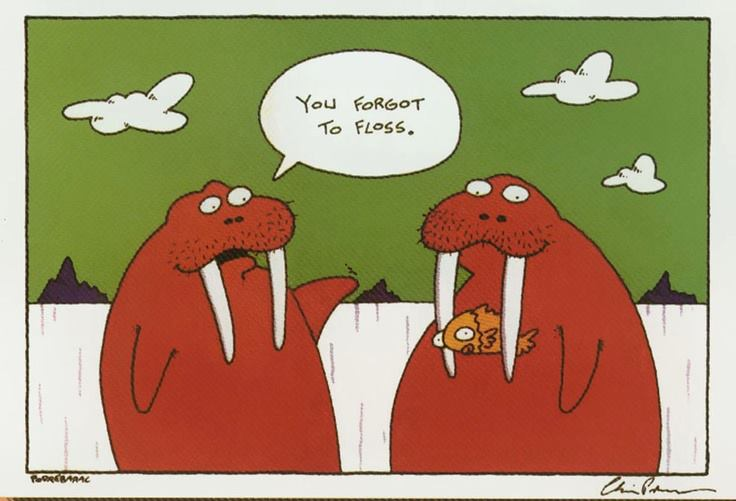 Flossing in addition to Tooth brushing