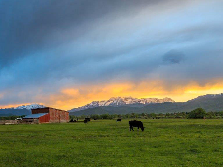 Agricultural Real Estate
