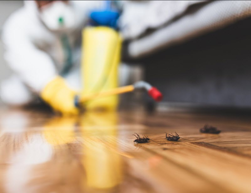  Insect Control