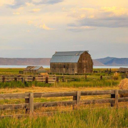 Farm Loans