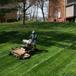 Lawn Mowing Services
