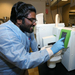 High Performance Computational Services