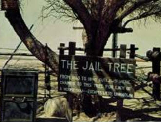Jail Tree