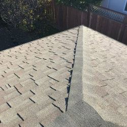 Insurance Claims