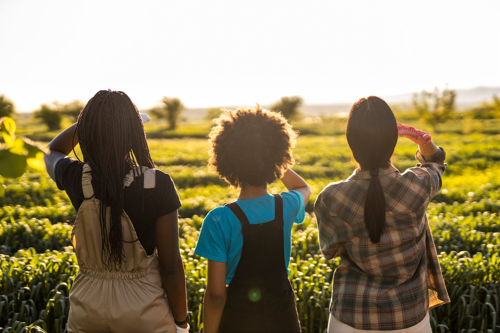 Children's Health and Wellness