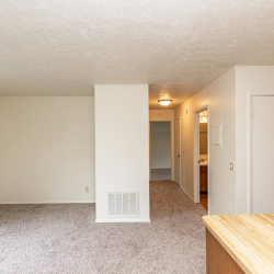 Lease Options