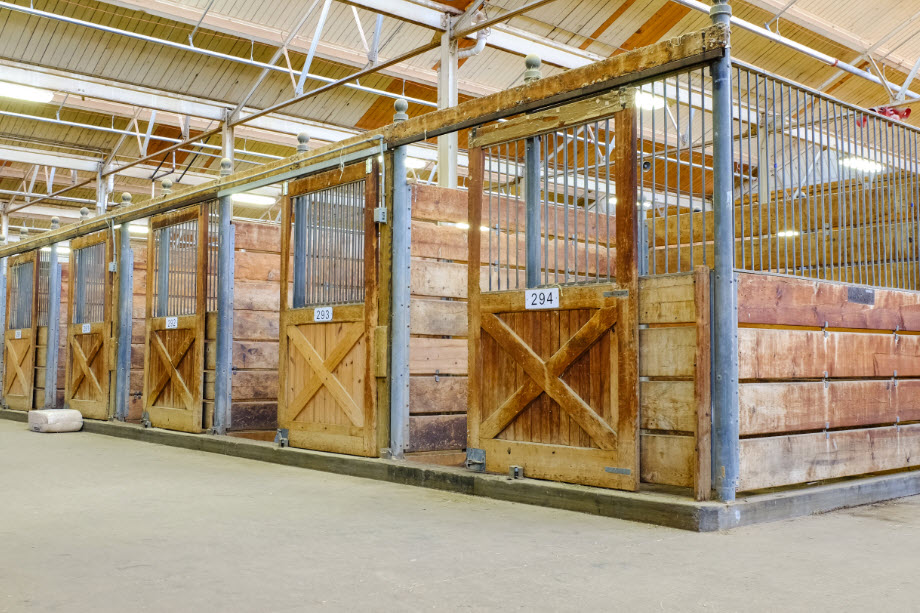  Horse Facilities