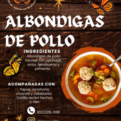 Platillos