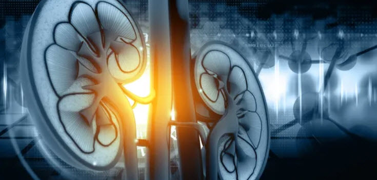 Dialysis Appointments