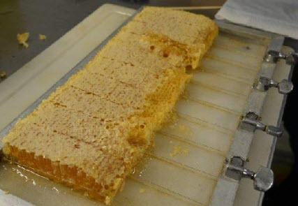 HONEY EXTRACTION SERVICE