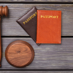 Immigration Bond and Custody