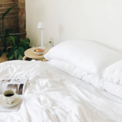 Cozy Earth