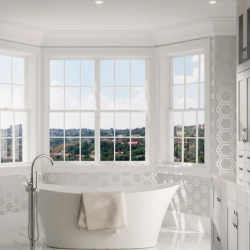 Vinyl Windows