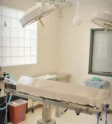 Our Animal Hospital