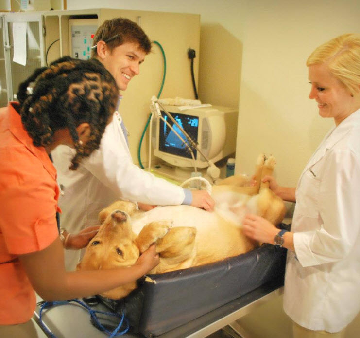 Ultrasound