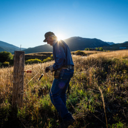 Landowners