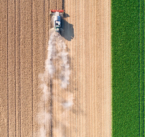 Farm and Ranch Insurance
