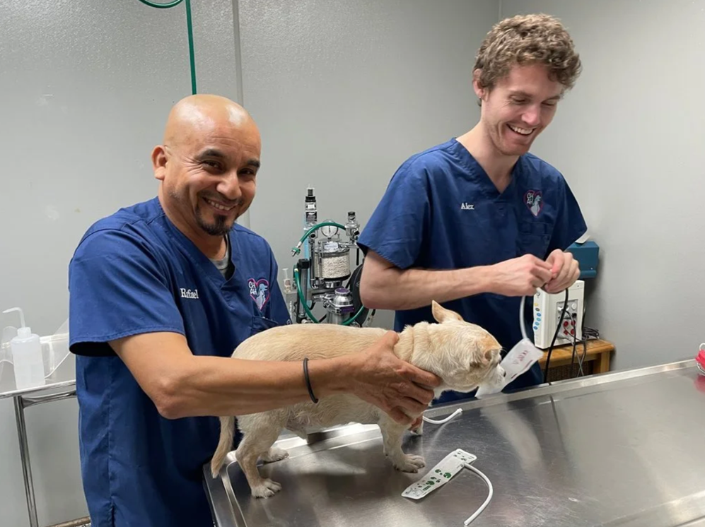 Specialty Surgical Services