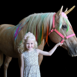Unicorn Visit/Photo Shoot