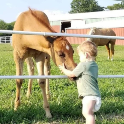 Farm Visit